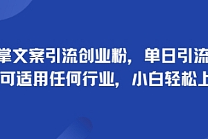 手掌文案引流创业粉,单日引流100+,可适用任何行业,小白轻松上手