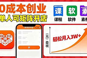 (16047期)拼多多虚拟电商,0成本,单人可矩阵开店,轻松月入3W+