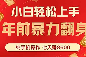(16080期)七天狂赚8600,小白纯手机操作,日入1000+