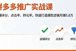(16115期)拼多多推广实战课,店铺评分、点击率、转化率,快速打造爆款店铺月赚5.8万