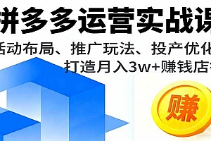 (16135期)拼多多运营实战课,活动布局、推广玩法、投产优化,打造月入3w+赚钱店铺