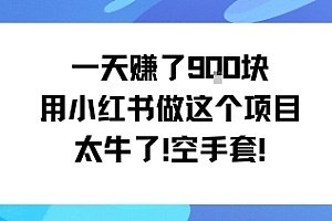 一天挣了9张用小红书做这个项目太牛了,空手套