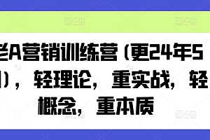 老A营销训练营(更25年10月),轻理论,重实战,轻概念,重本质