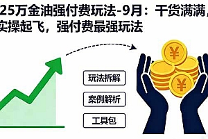 (16202期)2025万金油强付费玩法-9月:干货满满,全程实操起飞,强付费最强玩法