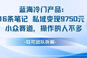 蓝海项目:16条笔记私域变现9750米小众赛道操作的人不多