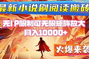 (16237期)小说阅读搬砖单机每天收益200-400+ 无IP限制可无限矩阵放大 —