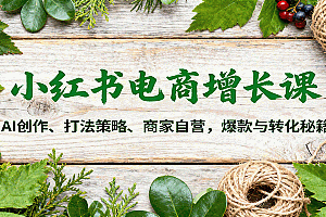 小红书电商增长课:AI创作、打法策略、商家自营,爆款与转化秘籍