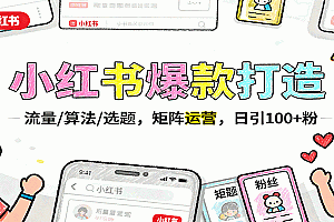 小红书爆款打造:流量/算法/选题,矩阵运营,日引100+粉