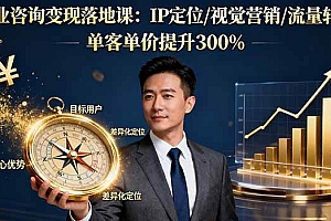 (16249期)商业咨询变现落地课:IP定位/视觉营销/流量转化,单客单价提升300%