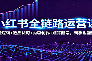 小红书全链路运营课:流量逻辑+选品货源+内容制作+矩阵起号,新手也能赚钱