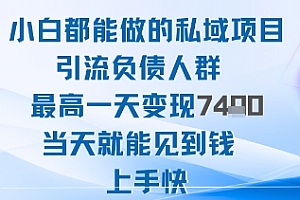 2025年小白都能做的私域项目引流负债人群最高一天变现1k+高变现难度低当天就能见到钱上手快