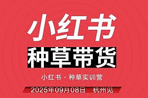 小红书种草带货实训营9月8日杭州线下课,全程录音+字幕,全网唯一小红书实战营