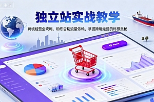 独立站实战教学,跨境经营全攻略,助您告别流量依赖,掌握跨境经营的终极奥