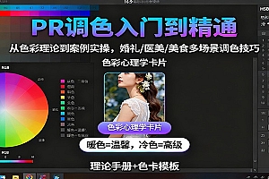 PR调色入门到精通:从色彩理论到案例实操,婚礼/医美/美食多场景调色技巧