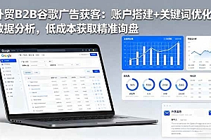(16389期)外贸B2B谷歌广告获客:账户搭建+关键词优化+数据分析,低成本获取精准询盘