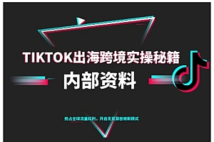 TikTok跨境电商0-1搭建运营,TK出海跨境实操秘籍(10月更新)