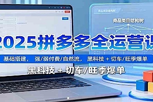 2025拼多多全运营课:基础搭建,强/弱付费/自然流,黑科技 + 切车/旺季爆单