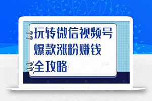 玩转微信视频号爆款涨粉赚钱全攻略,让你快速抓住流量风口,收获红利财富
