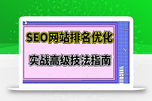 樊天华·SEO网站排名优化实战高级技法指南,让客户找到你