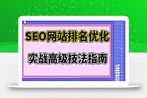 樊天华·SEO网站排名优化实战高级技法指南，让客户找到你