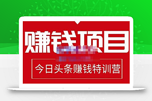 懒人领域·今日头条项目玩法,头条中视频项目,单号收益在50—500可批量