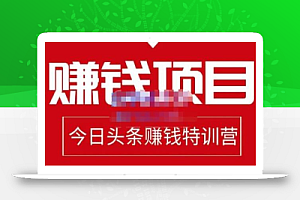 懒人领域·今日头条项目玩法，头条中视频项目，单号收益在50—500可批量