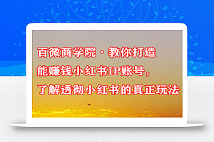 百微商学院·教你打造能赚钱小红书IP账号,了解透彻小红书的真正玩法