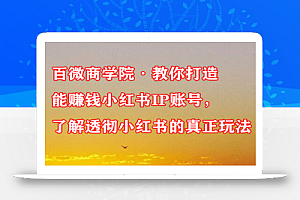 百微商学院·教你打造能赚钱小红书IP账号，了解透彻小红书的真正玩法