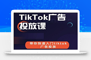 跨境B哥tiktok广告投放课,带你快速入门tiktok广告投放价值1680元