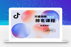 森淼·抖音SEO排名引流变现,教你如何布局抖音SEO获取更多免费流量