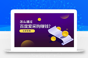 大王·怎么通过百度爱采购赚钱,已经通过百度爱采购完成200多万的销量