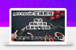 漆十二美食摄影,25节promovie实操高手课节