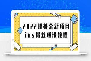 2022赚美金新项目，Instagram粉丝赚米项目【视频教程】