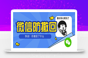 智微微信多开防撤回助手一键免扫码登录(永久免费电脑版+教程)