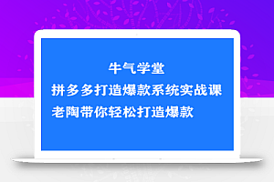 牛气学堂拼多多打造爆款系统实战课,老陶带你轻松打造爆款
