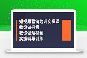蕊总很忙·短视频营销培训实操课:教你做抖音,教你做短视频,实操辅导训练