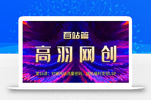 高羽网创百站篇第16讲:对接网站流量密码,随机短视频变现LSP【视频课程】