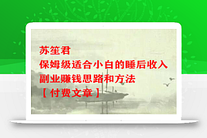 苏笙君·保姆级适合小白的睡后收入副业赚钱思路和方法