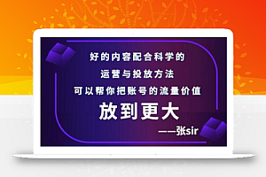 张sir账号流量增长课,告别海王流量,让你的流量更精准