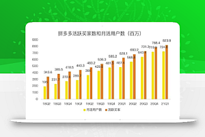 蓝海项目拼多多视频带货课,2022年入百万新风口【视频教程+软件】