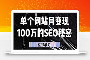 单个网站月变现100万的SEO秘密,百分百做出赚钱站点