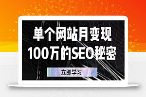 单个网站月变现100万的SEO秘密，百分百做出赚钱站点