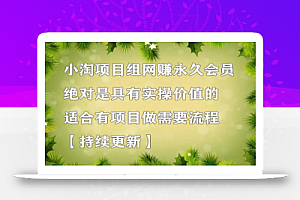 小淘项目组网赚永久会员，绝对是具有实操价值的，适合有项目做需要流程【持续更新】