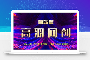 高羽网创百站篇第21讲:老司机番hao库,打通百万流量管道【视频课程】