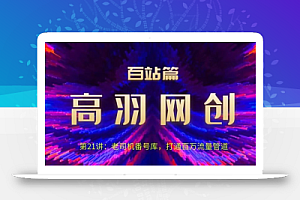 高羽网创百站篇第21讲：老司机番hao库，打通百万流量管道【视频课程】