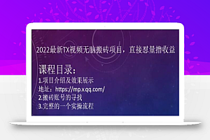 小淘:2022最新TX视频无脑搬砖项目,直接怼量撸收益