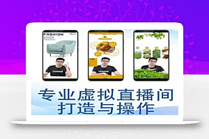 个人虚拟直播间的搭建与操作,专业虚拟直播间的打造与操作