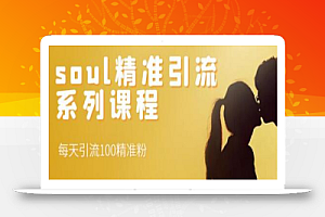 soul精准引流系列课程,每天引流100精准粉