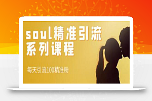 soul精准引流系列课程，每天引流100精准粉