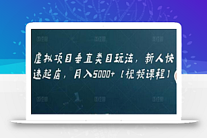 虚拟项目垂直类目玩法,新人快速起店,月入5000+【视频课程】